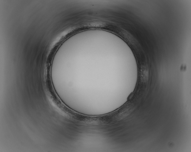 X0000110730726200906261518