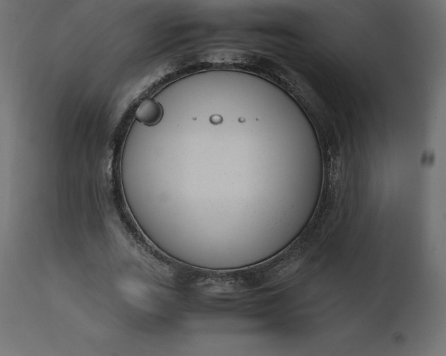 X0000110730727200906261518