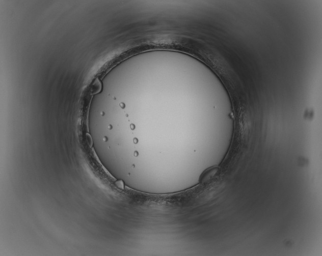 X0000110730728200906261518