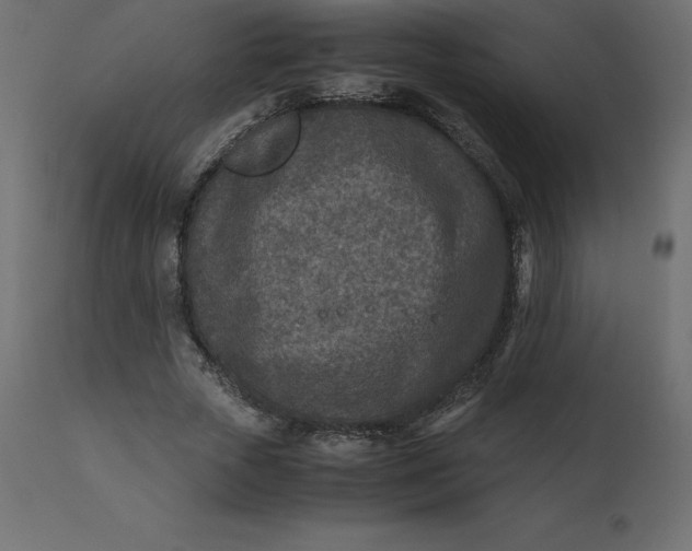 X0000110730729200906261518