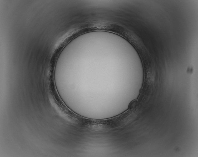 X0000110730730200906261518