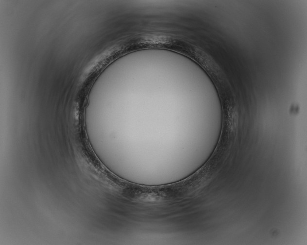 X0000110730731200906261518