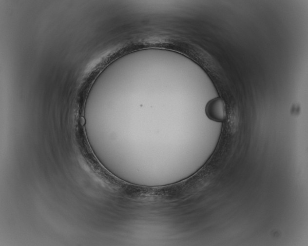 X0000110730732200906261518