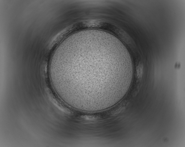 X0000110730733200906261518