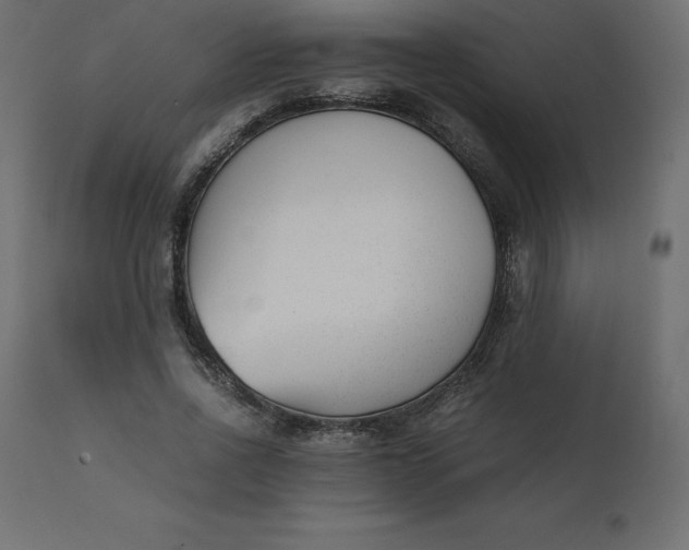 X0000110730734200906261519