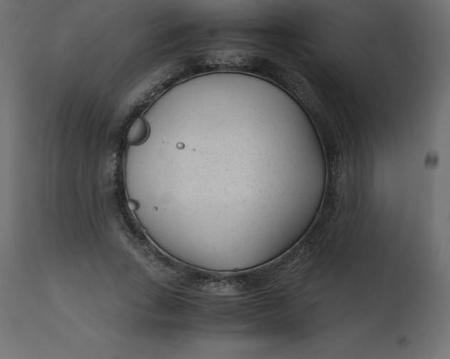 X0000110730735200906261519