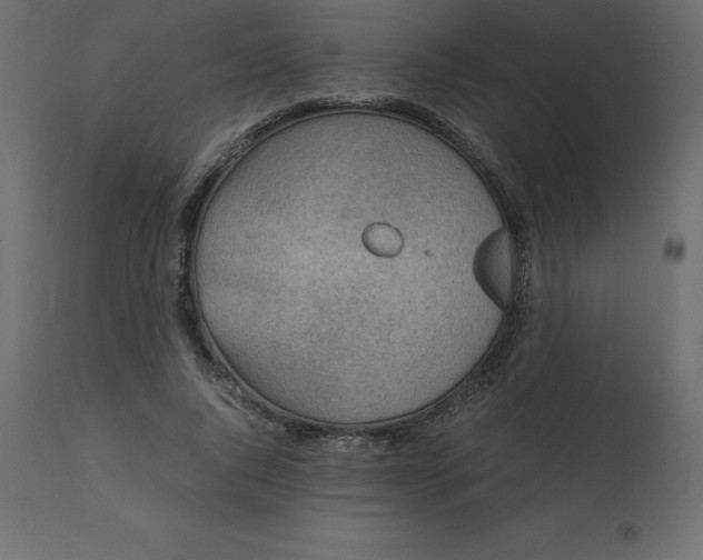 X0000110730736200906261519