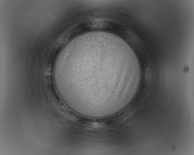 X0000110730737200906261519