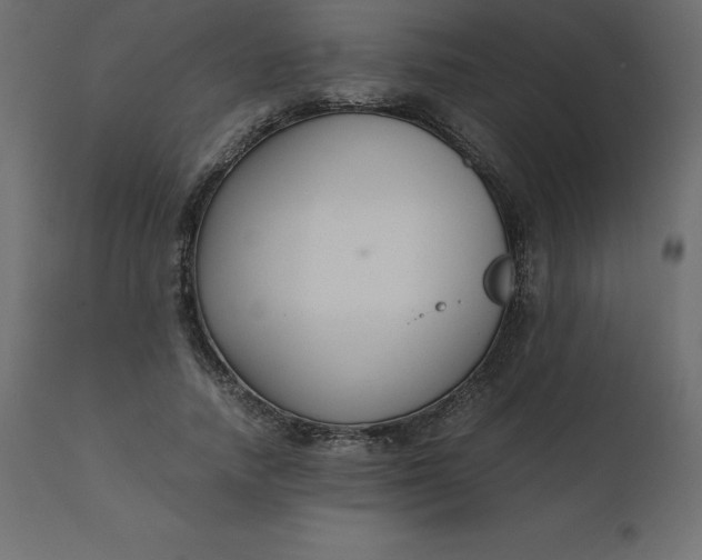 X0000110730738200906261519