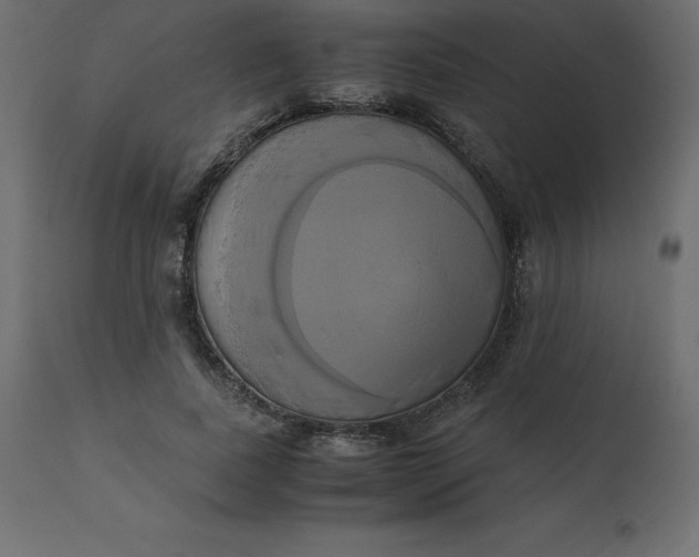 X0000110730739200906261519