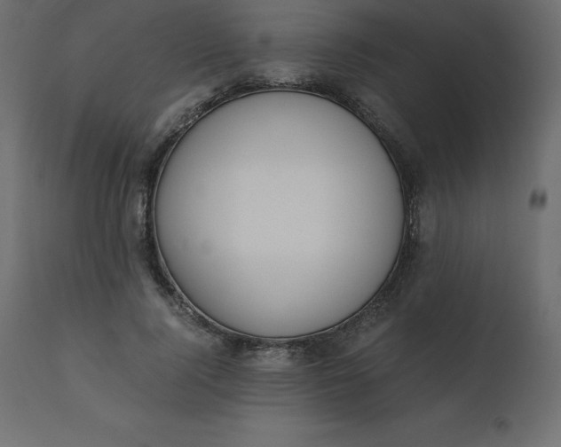 X0000110730740200906261519