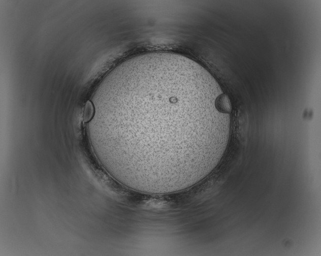 X0000110730742200906261519