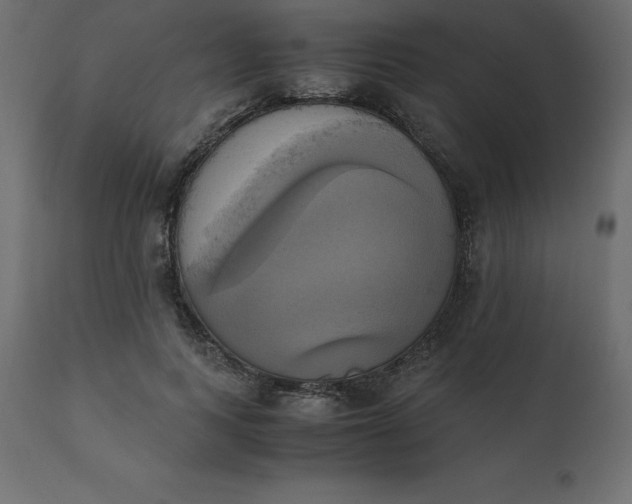 X0000110730743200906261519