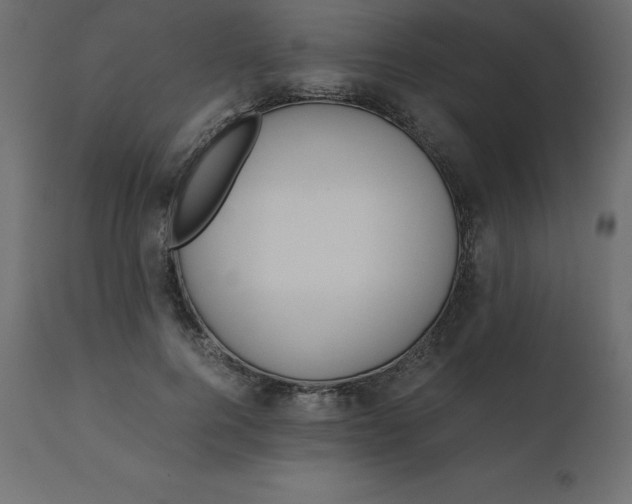 X0000110730744200906261519