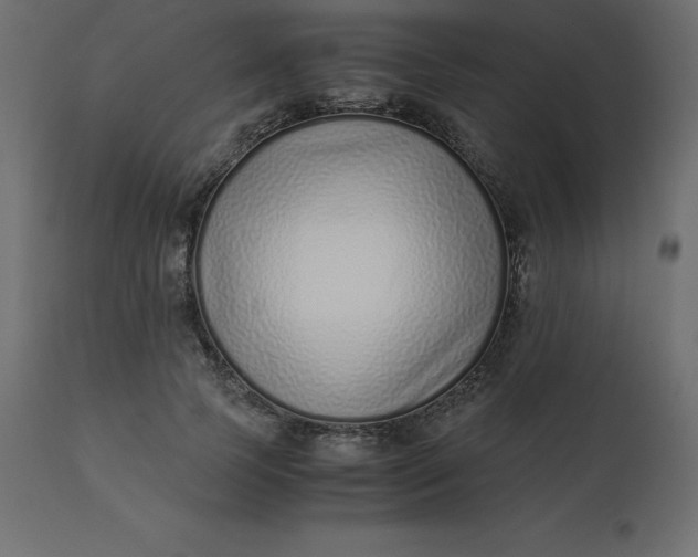 X0000110730745200906261519