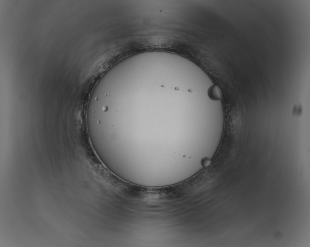 X0000110730746200906261519