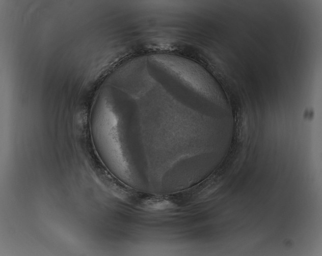 X0000110730747200906261519