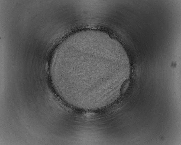 X0000110730748200906261519