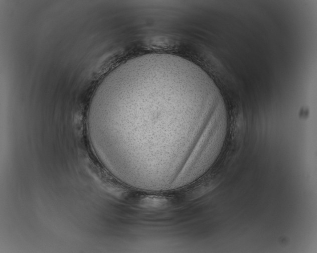 X0000110730749200906261519