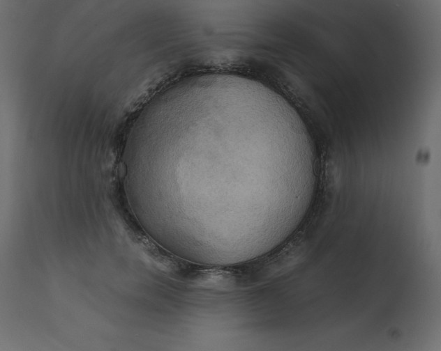 X0000110730750200906261519