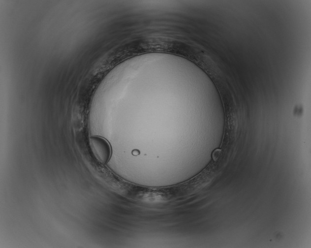 X0000110730751200906261519