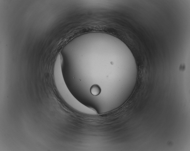 X0000110730752200906261519