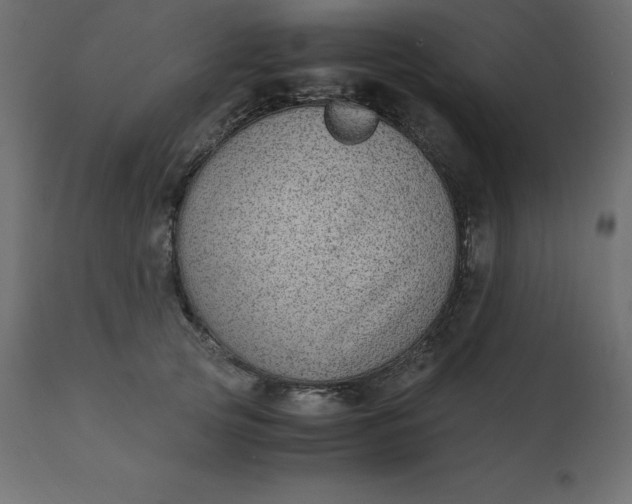 X0000110730753200906261519