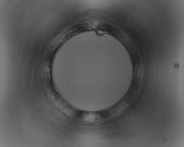 X0000110730754200906261519