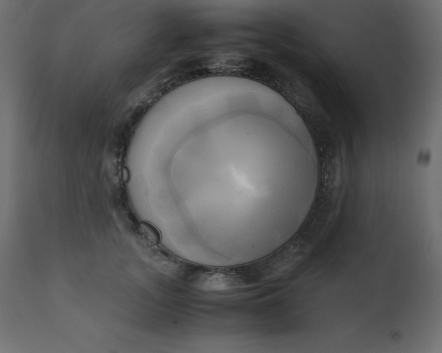 X0000110730755200906261519