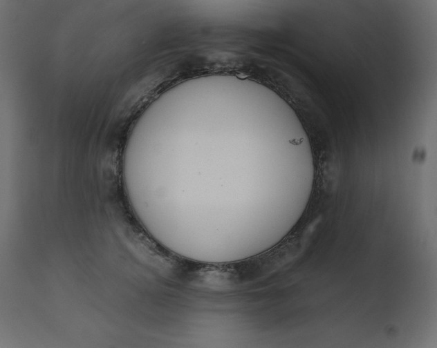 X0000110730756200906261519