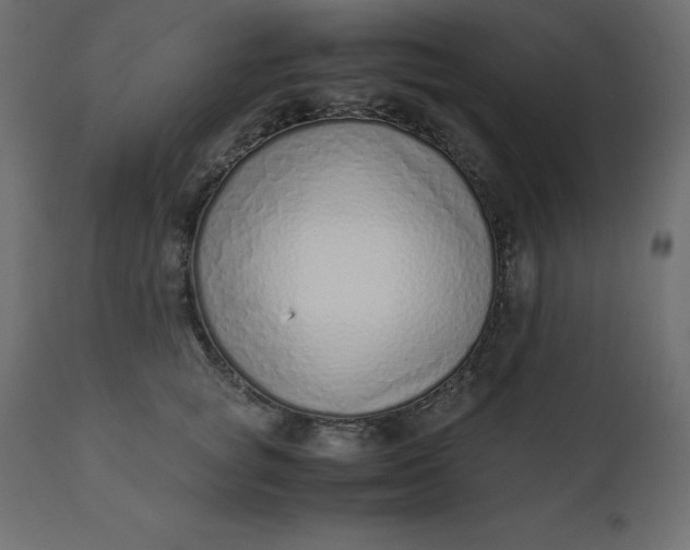 X0000110730757200906261519