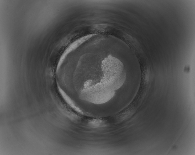 X0000110730759200906261519