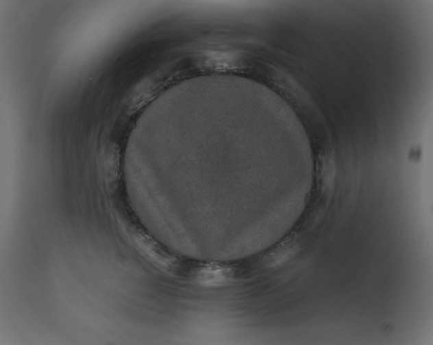 X0000110730760200906261519