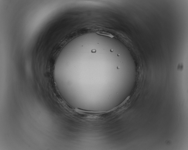 X0000110730762200906261519