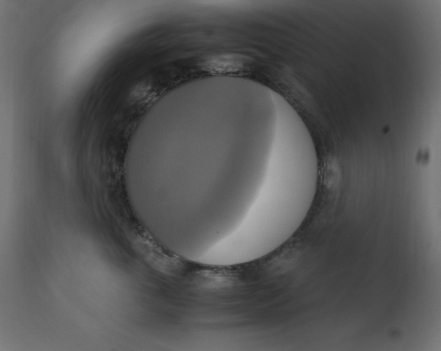 X0000110730763200906261519