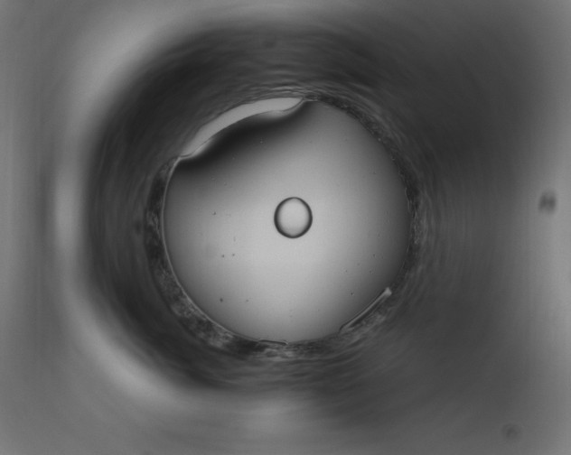 X0000110730764200906261519