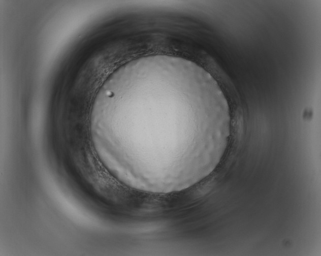 X0000110730765200906261519