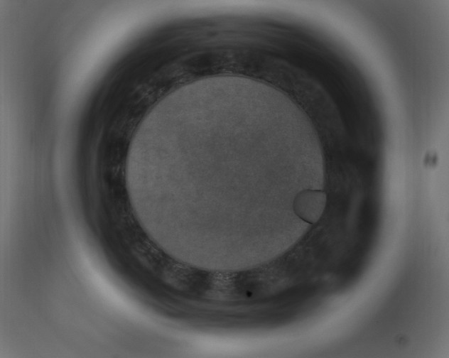 X0000110730766200906261519