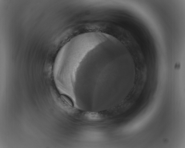 X0000110730767200906261519