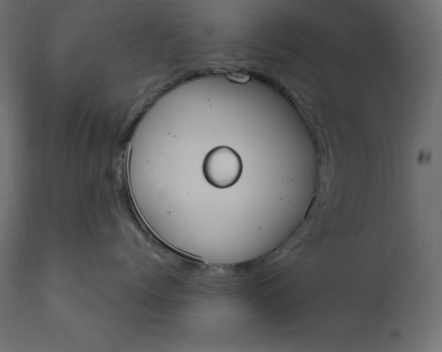 X0000110730768200906261519