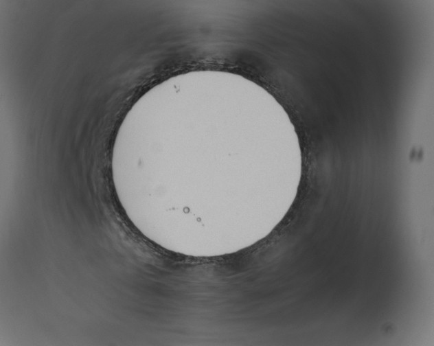 X0000110730769200906261518