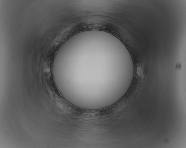 X0000110730771200906261518