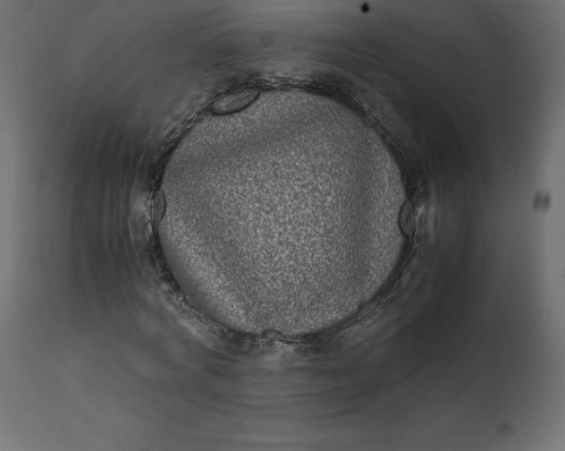 X0000110730772200906261518