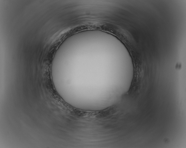 X0000110730773200906261518