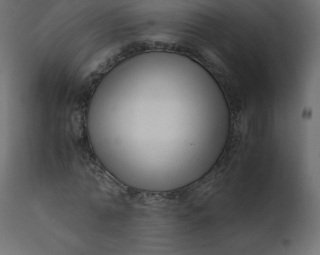 X0000110730774200906261518