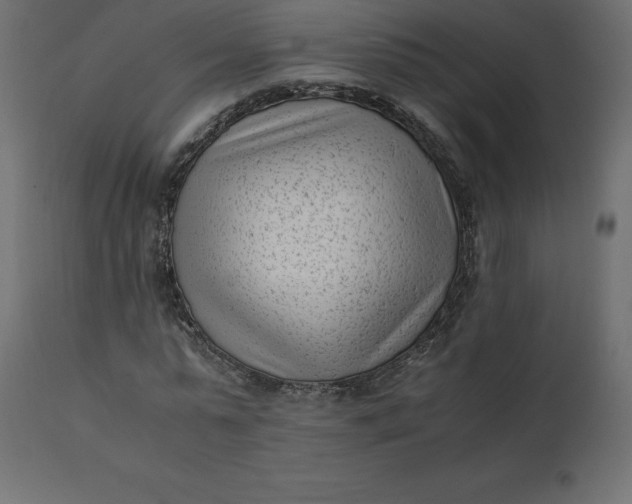 X0000110730775200906261518