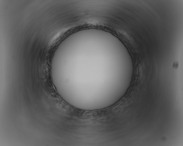 X0000110730776200906261518