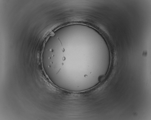 X0000110730777200906261518