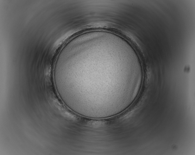 X0000110730778200906261518