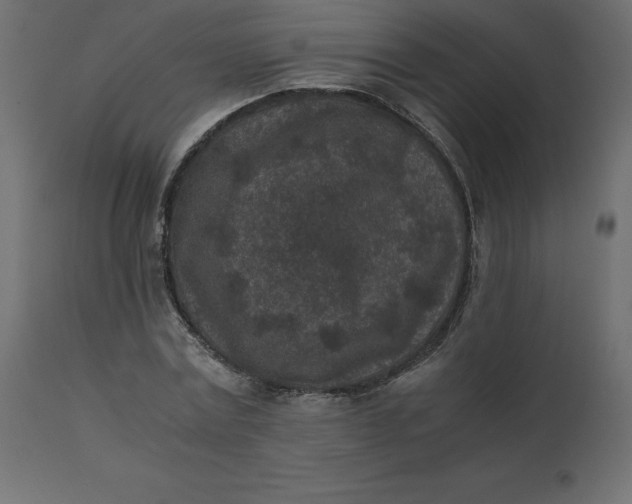 X0000110730779200906261518